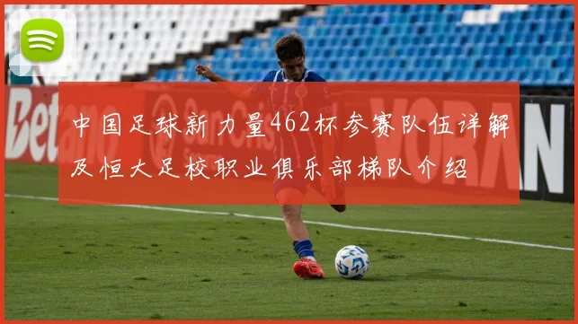 中国足球新力量462杯参赛队伍详解及恒大足校职业俱乐部梯队介绍