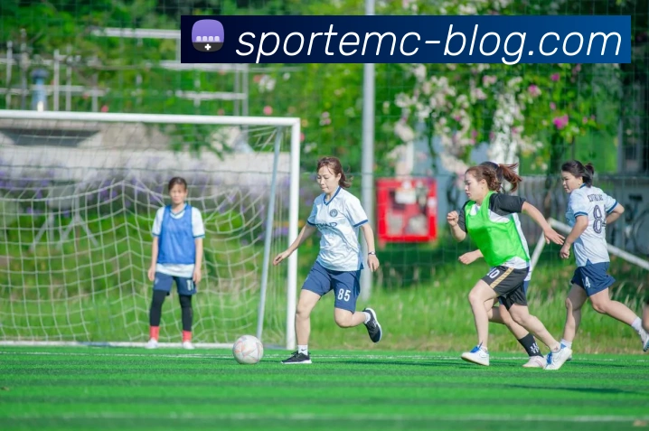 易倍体育平台生态图