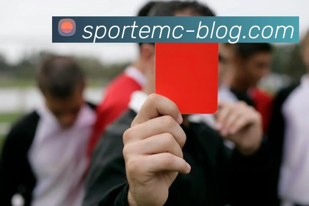 易倍体育APP 封面图